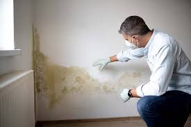  Jamestown, ND Mold Removal Pros